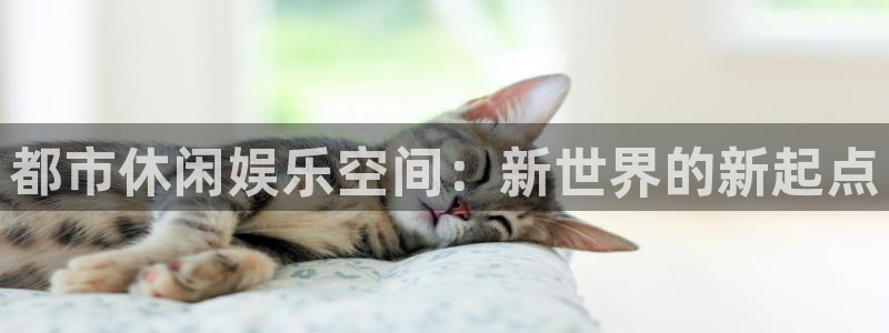 天狮娱乐